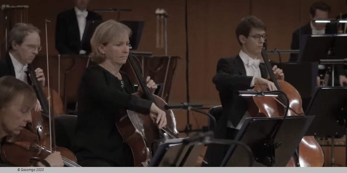 Caprices, variations and suites, photo 1