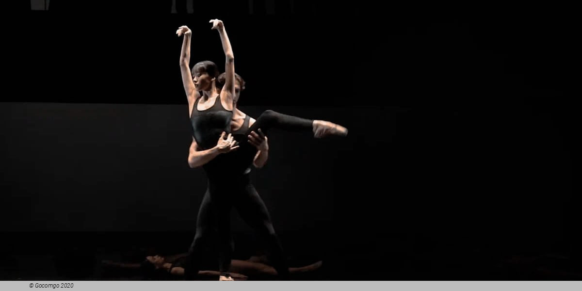 Fall Fashion Gala, photo 1