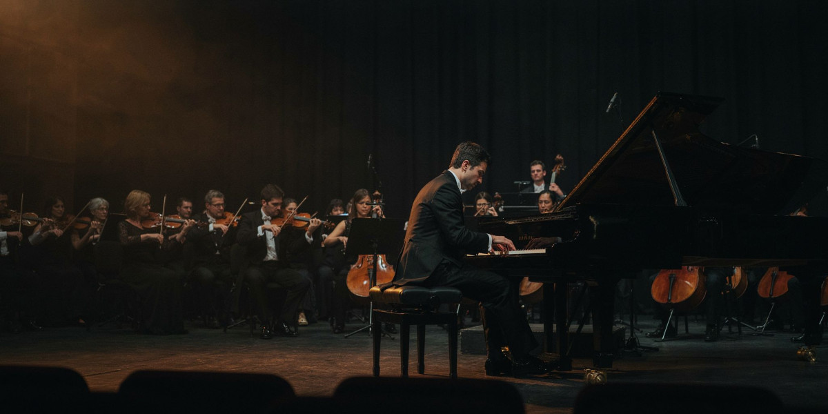 Nikolai Lugansky, photo 1