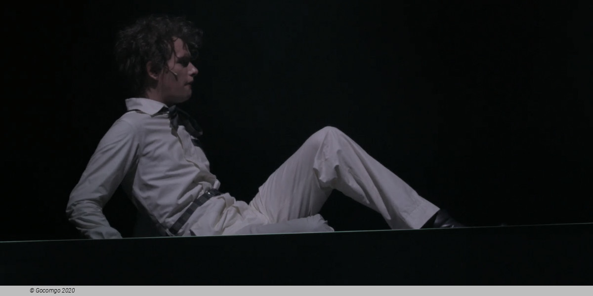Die Physiker (The Physicists), photo 4