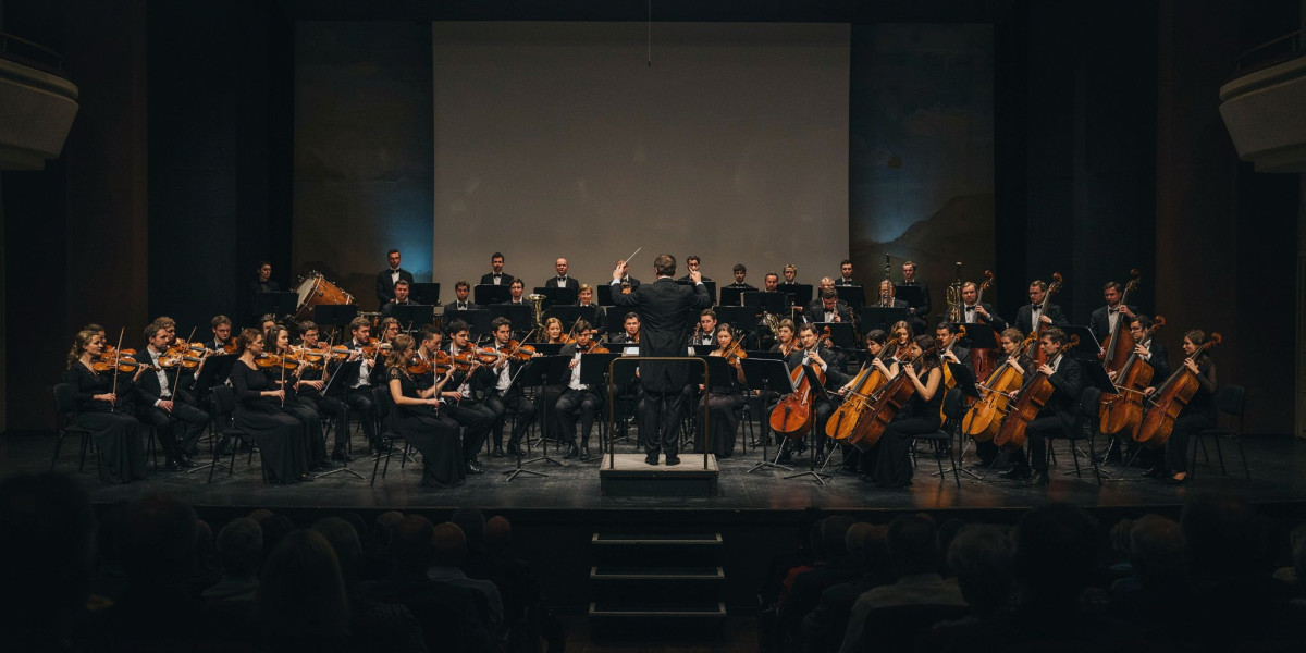 A Tribute to John Williams, photo 1