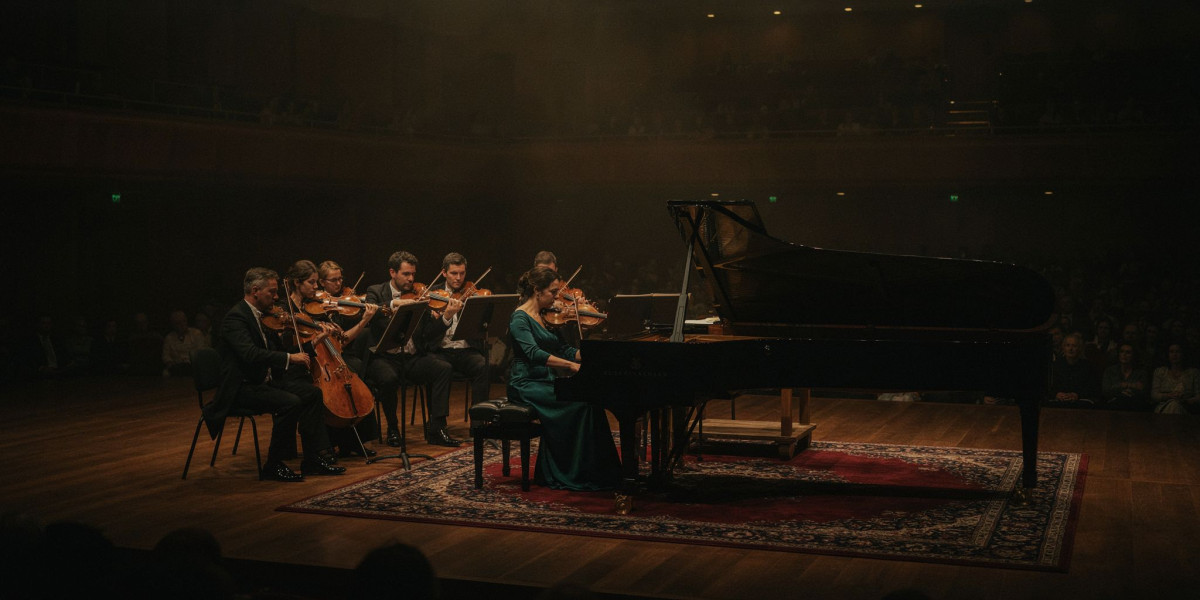 Paganini Plus - Rose McLachlan (piano), photo 1
