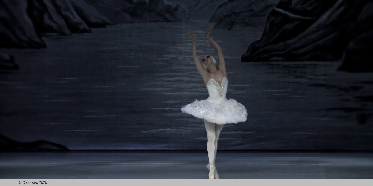 Summer Ballet Seasons, photo 5