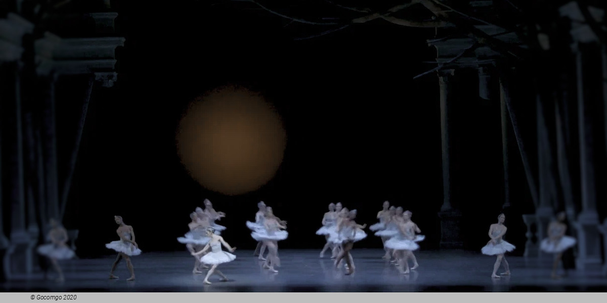 firebird by kent stowell, photo 5