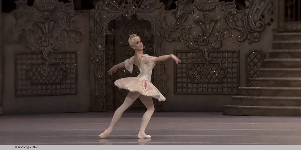 Marianela Nuñez, photo 2