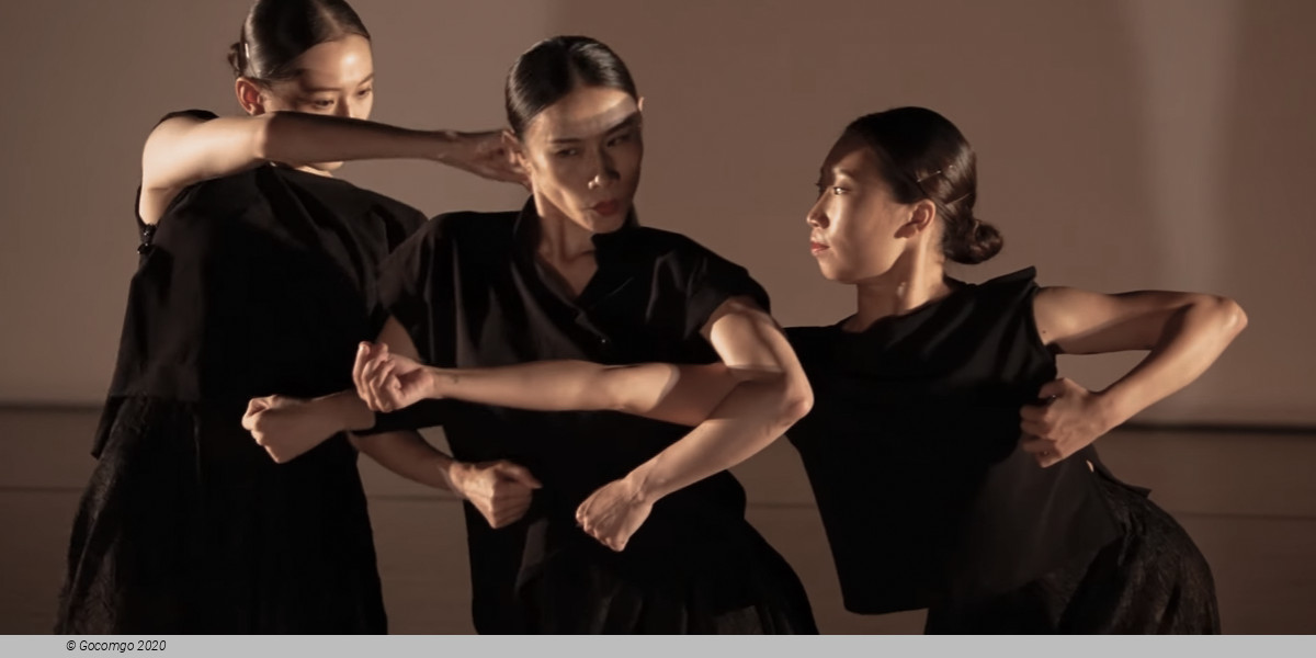 Cloud Gate Dance Theatre , photo 3