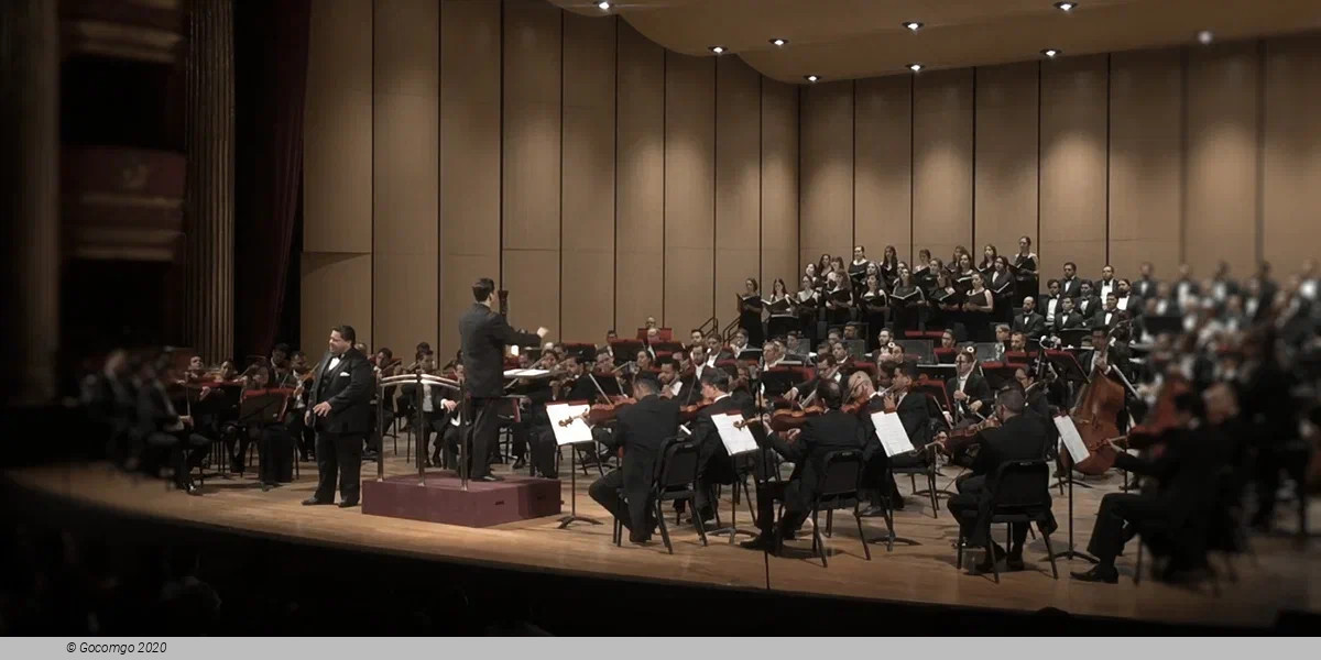 Diego Torre, photo 3