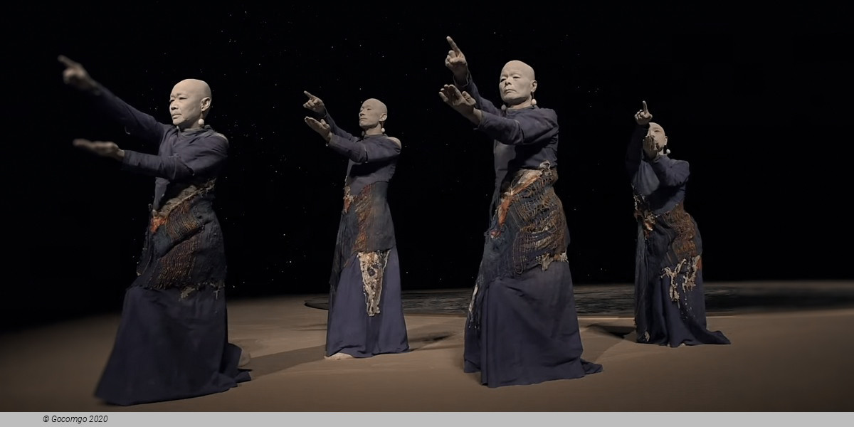 Pavillon Noir schedule & tickets Pavillon Noir schedule & tickets