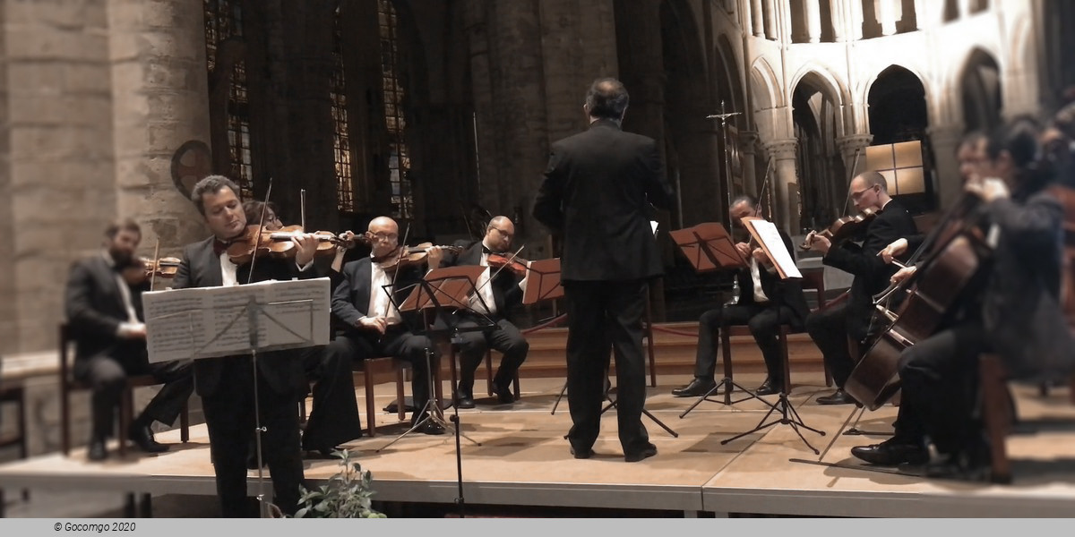 Saints Michael and Gudula Cathedral schedule & tickets Saints Michael and Gudula Cathedral schedule & tickets