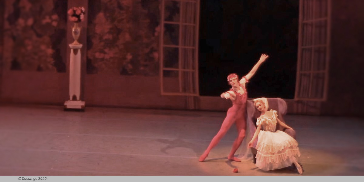 Le Spectre de la rose, photo 5