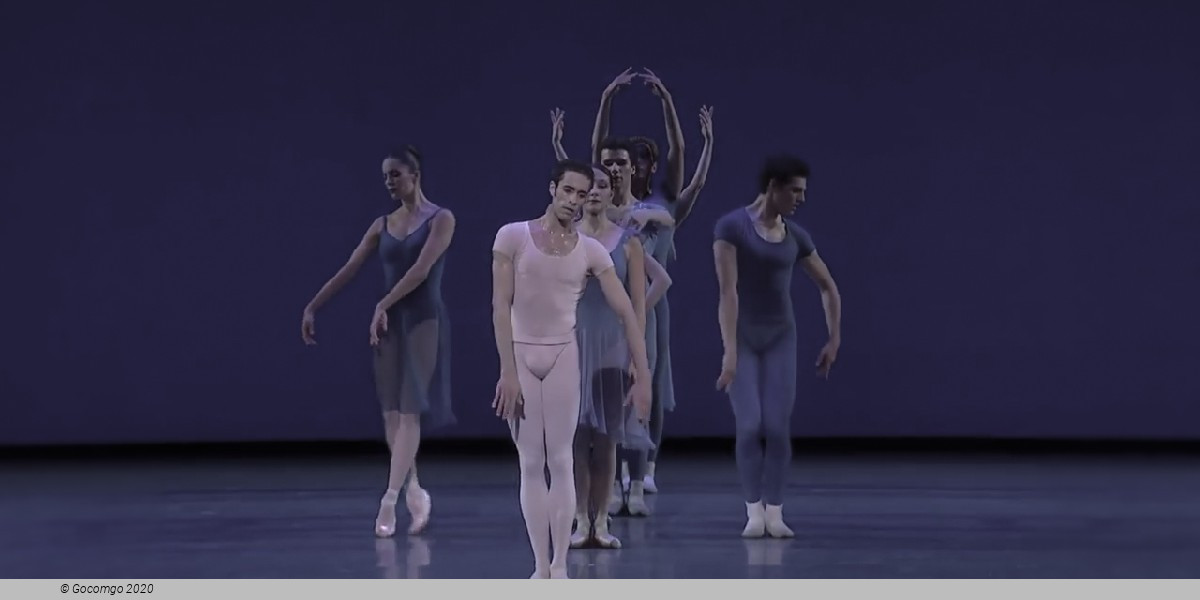 Opus 19 / The Dreamer, photo 1