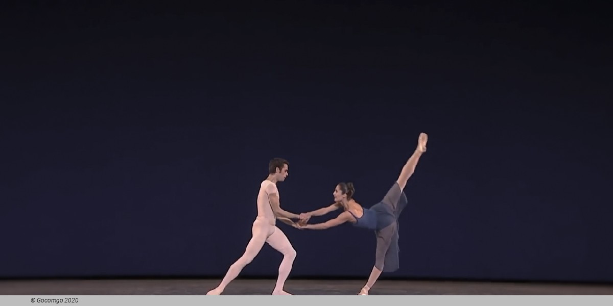 Opus 19 / The Dreamer, photo 2