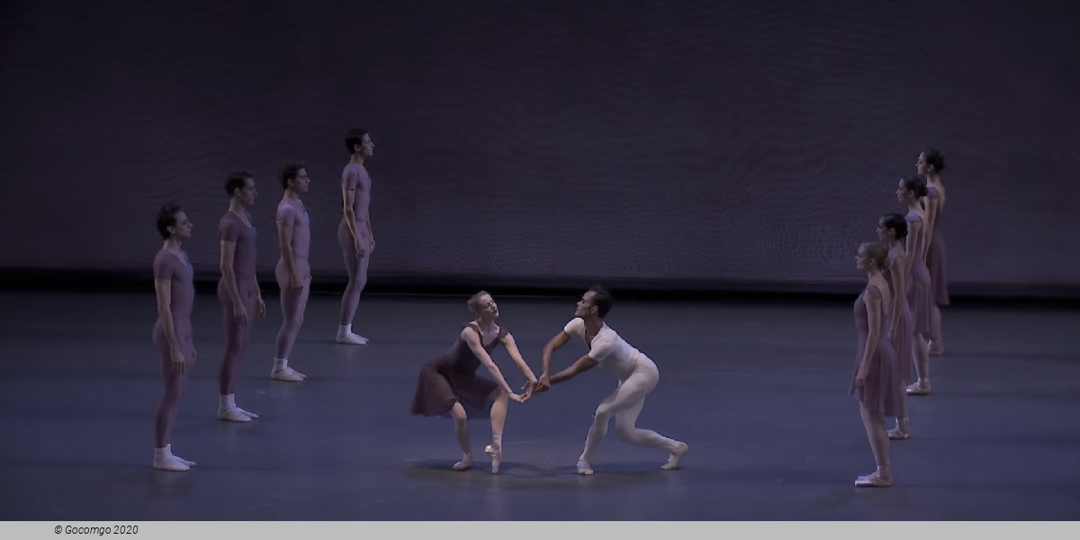 Opus 19 / The Dreamer, photo 5