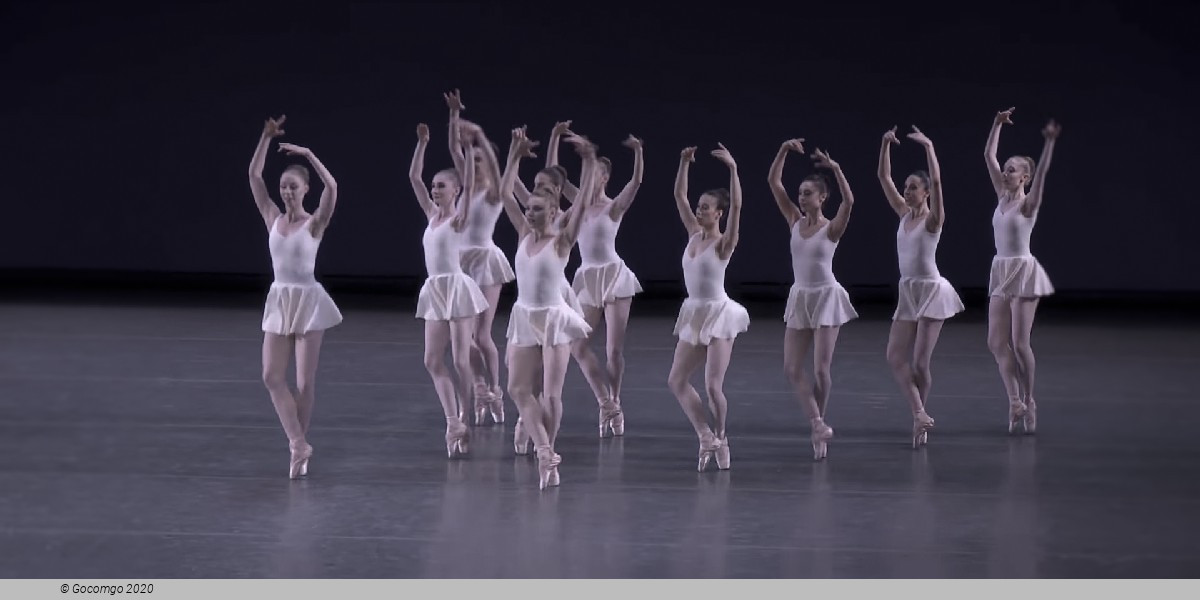 Concerto Barocco, photo 1