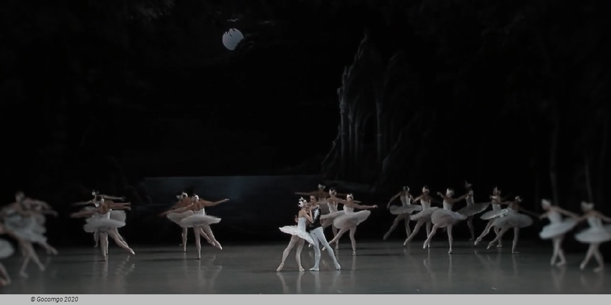 Swan Lake. Performance by the Leonid Yakobson Ballet Theatre, photo 6