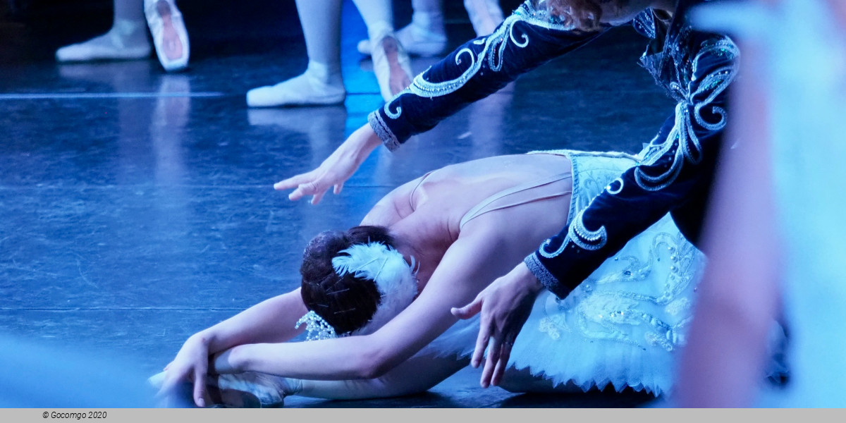 Swan Lake, photo 13