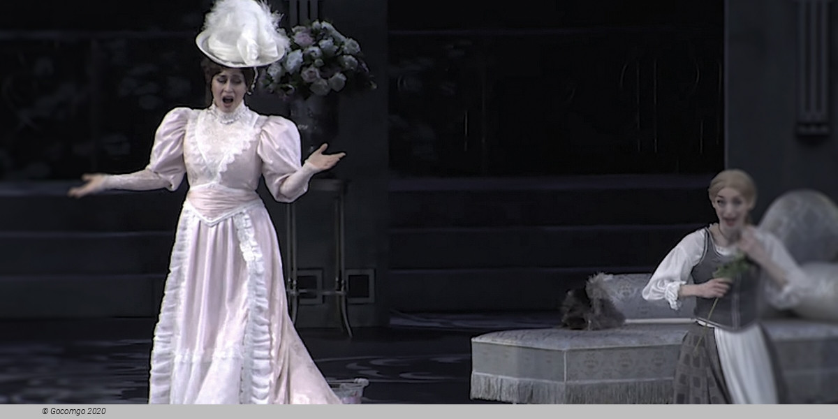 Die Fledermaus, photo 1