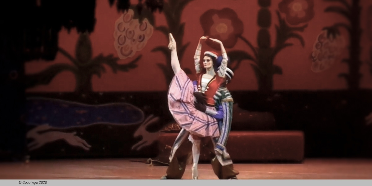 Petrouchka The Firebird, photo 2