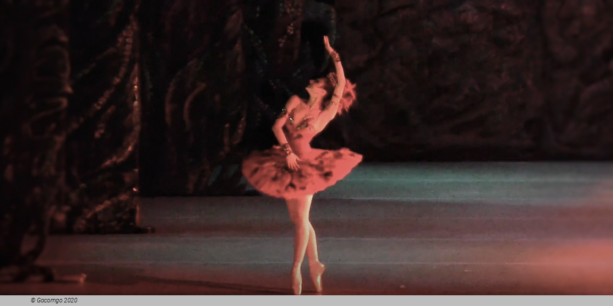 Petrouchka The Firebird, photo 3