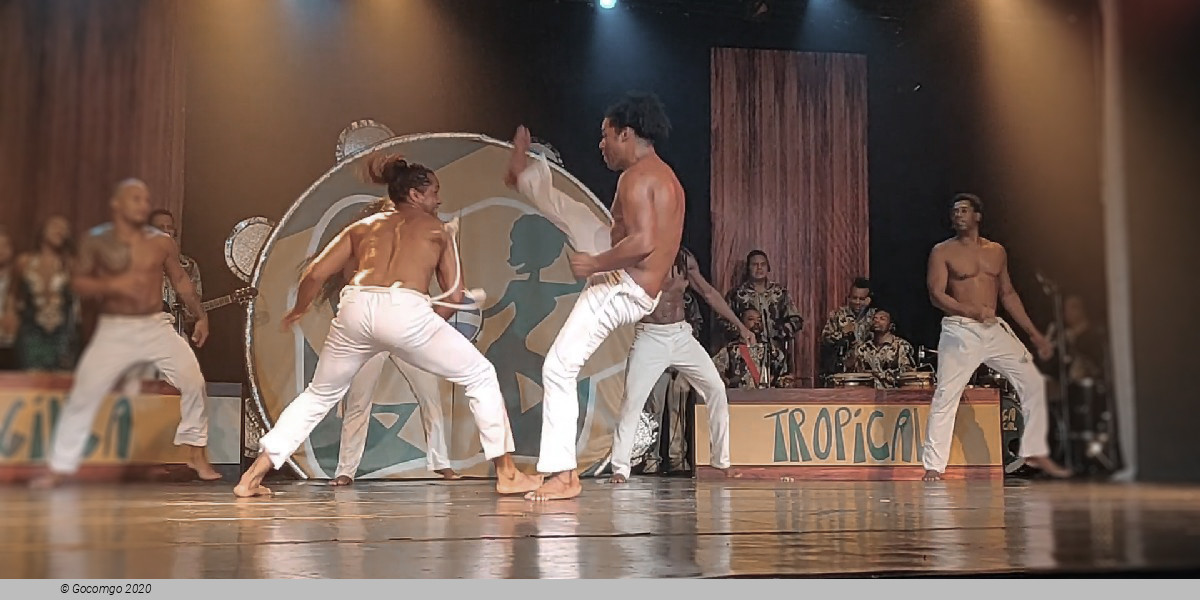 Scene 4 from the show "Ginga Tropical", photo 5