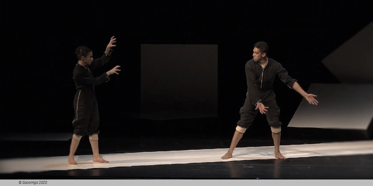 Scene 3 from the modern ballet "Cacti", photo 3