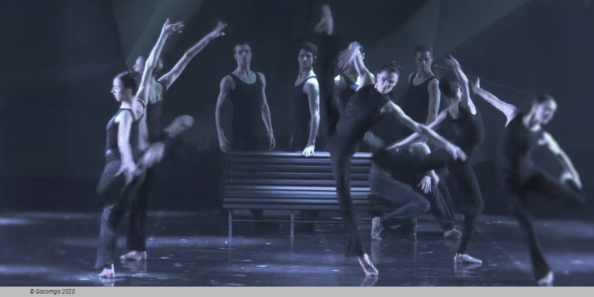 The Seagull. A Ballet Story, photo 3