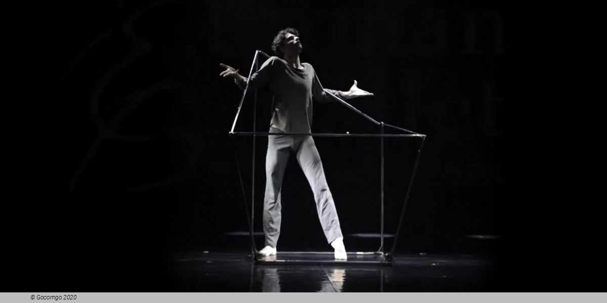 The Seagull. A Ballet Story, photo 10