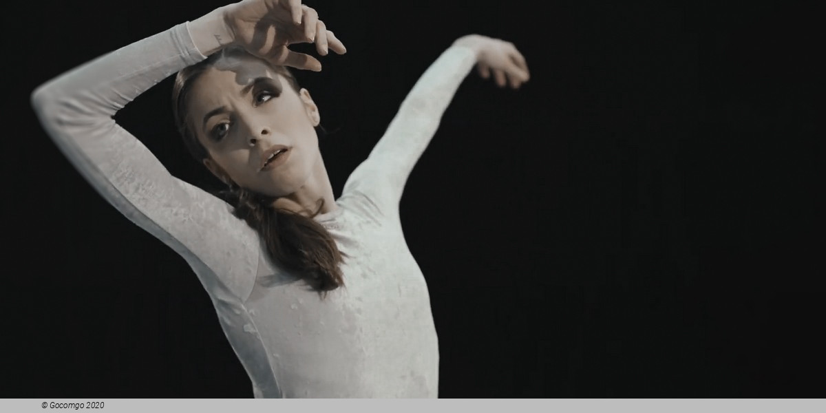 An evening of modern ballet "Wings and Feathers": Colossus. Vertical Road, photo 1