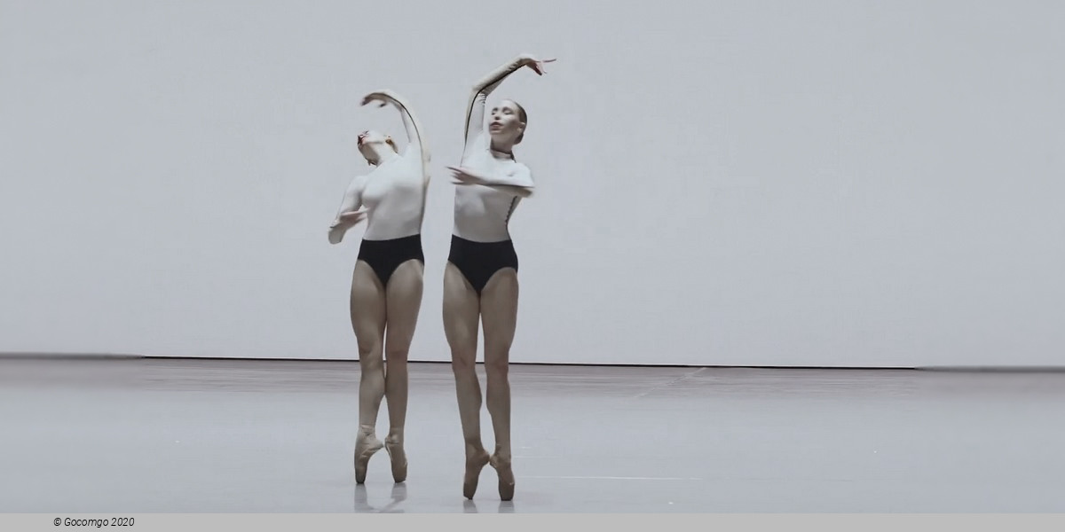 An evening of modern ballet "Contrasts": O złożony / O composite. If you couldn’t see me. Anima Animus. Drift Wood, photo 2