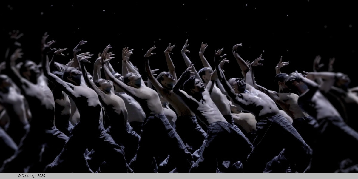 An evening of modern ballet "Vibrations": Dreams This Way. Solo for Two. The Seasons’ Canon, photo 1