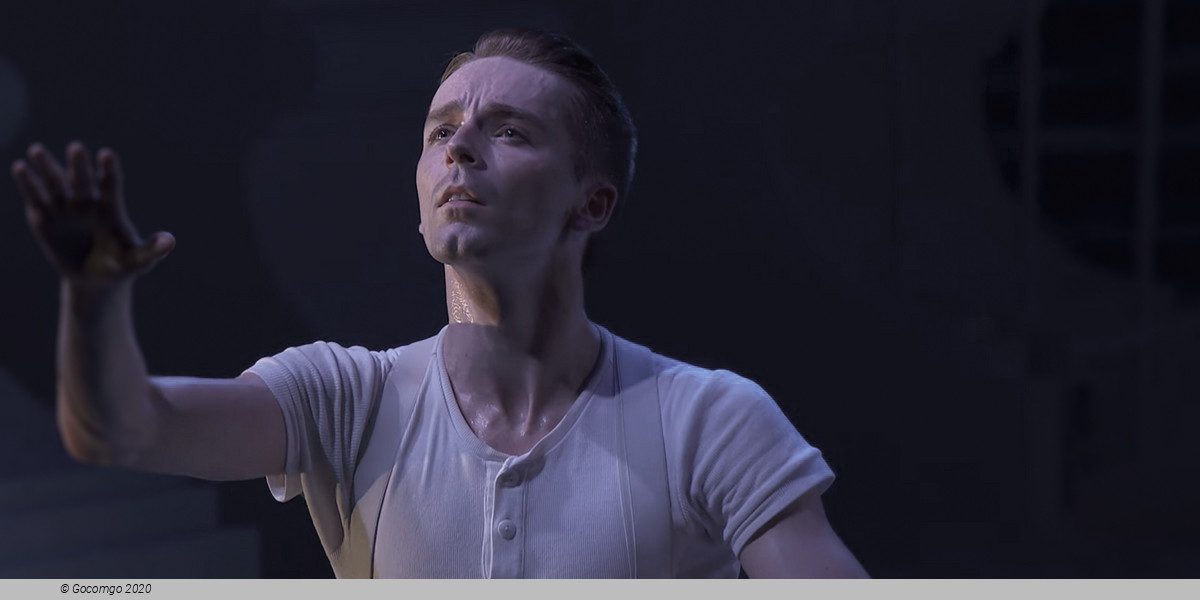 Matthew Bourne's "Swan Lake": The Next Generation, photo 3