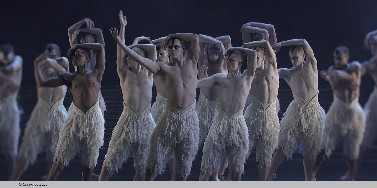 Matthew Bourne's "Swan Lake": The Next Generation, photo 1