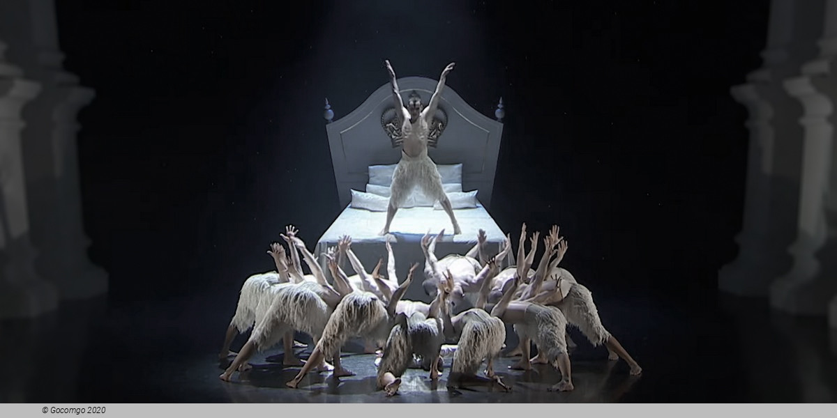 Matthew Bourne's "Swan Lake": The Next Generation, photo 12