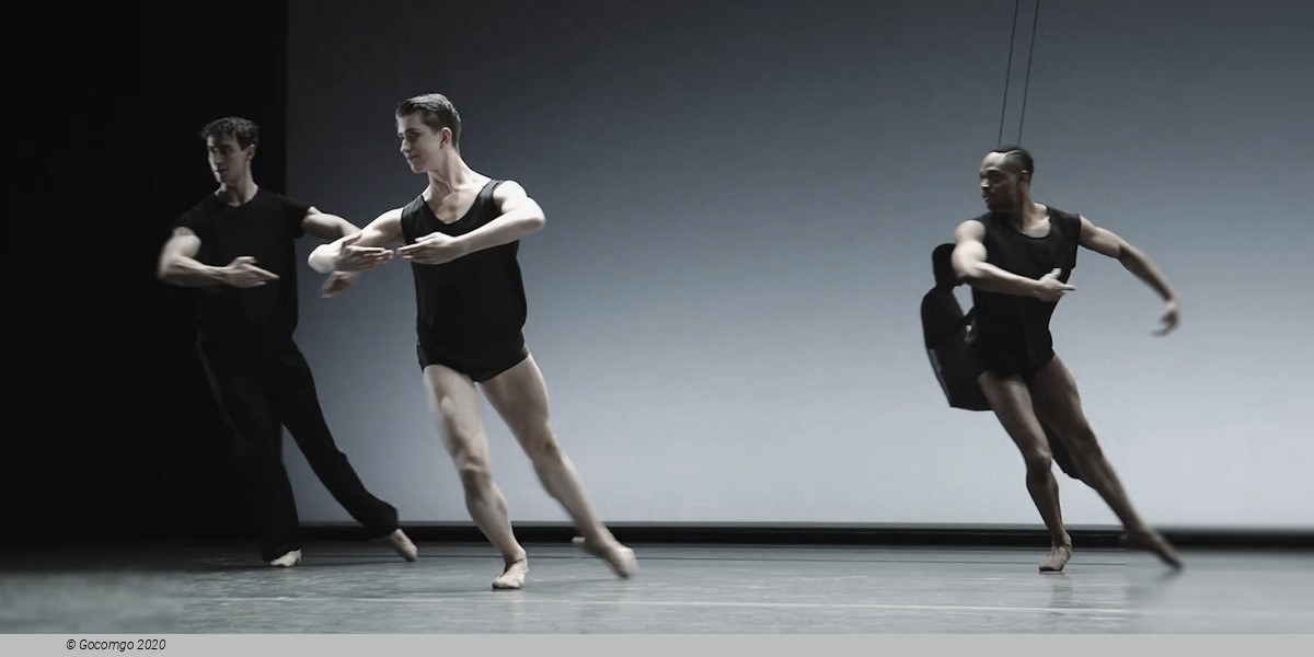 An evening of modern ballets "The Butterfly Effect": A Question of Time. What if?. Point of No Return, photo 2