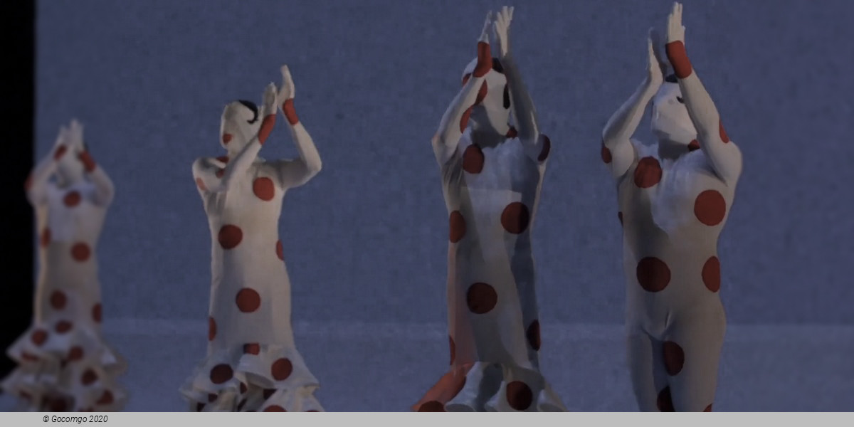 Car/men - Compagnie Chicos Mambo, photo 7