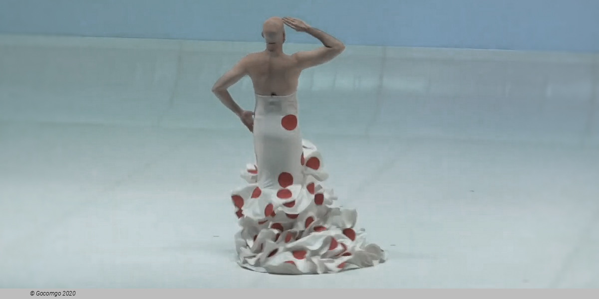 Car/men - Compagnie Chicos Mambo, photo 11