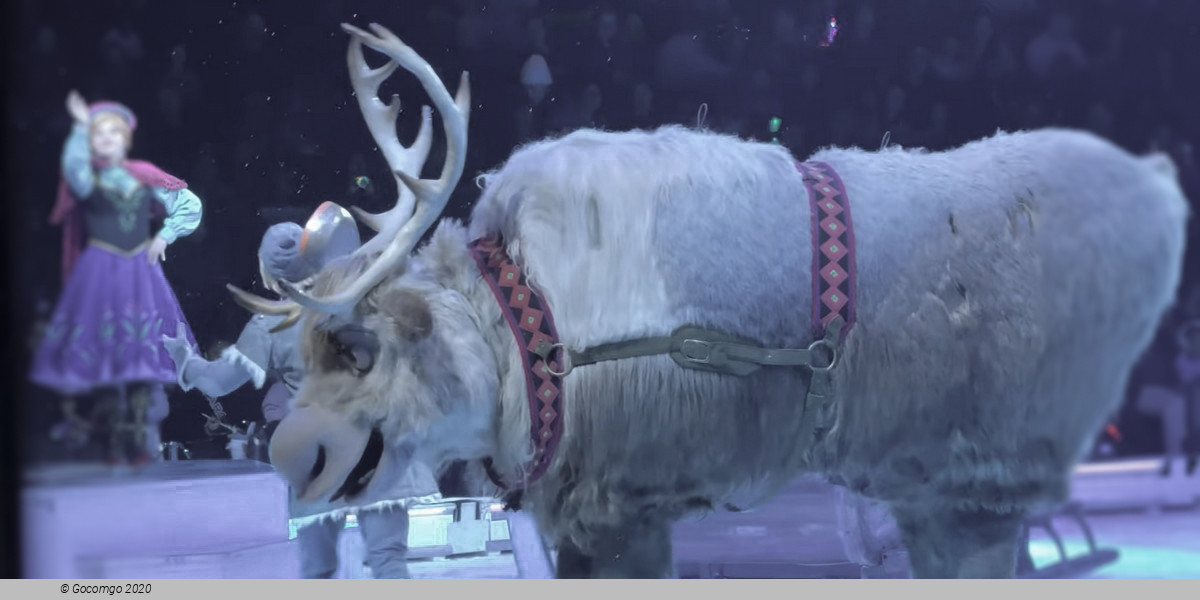 Musical circus show on ice with highlights from "Frozen" 1 & 2, photo 8