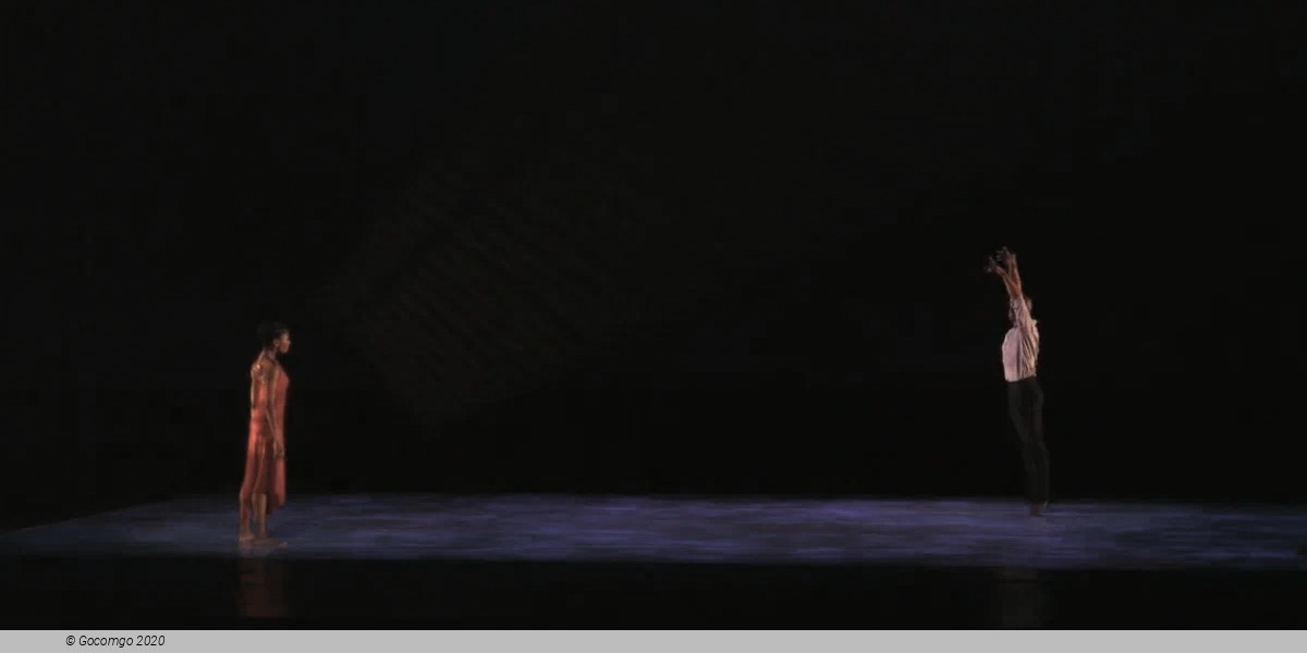 A Case of You, photo 4