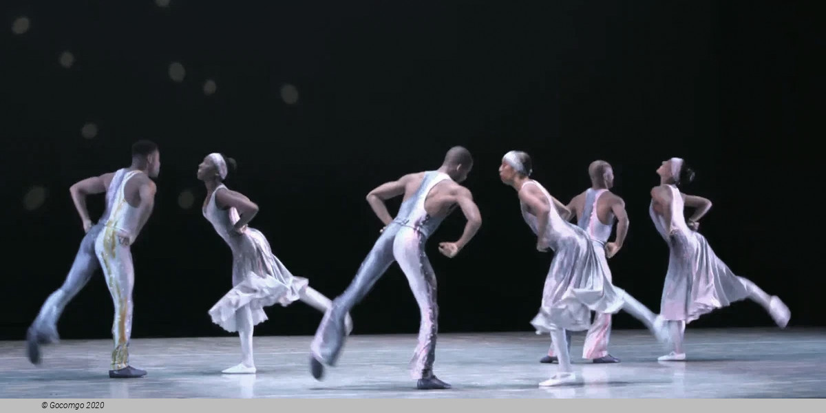 Night Creature, photo 1