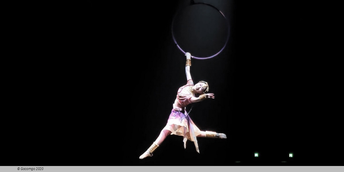 The Romantic Show of Xi'an