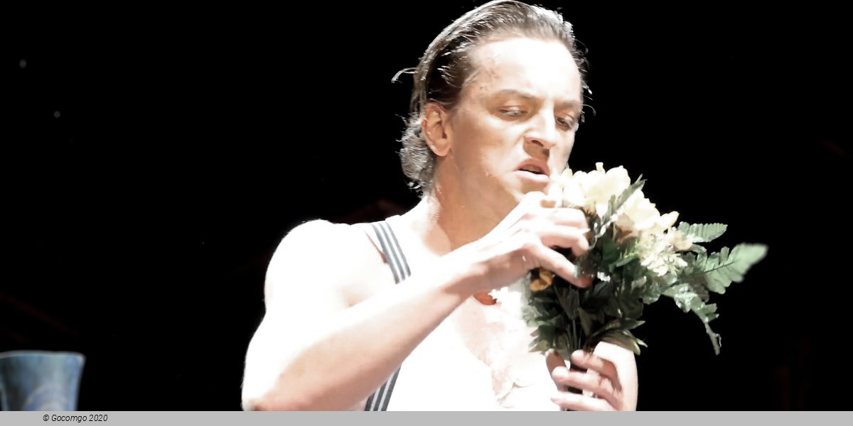 A Streetcar Named Desire, photo 4