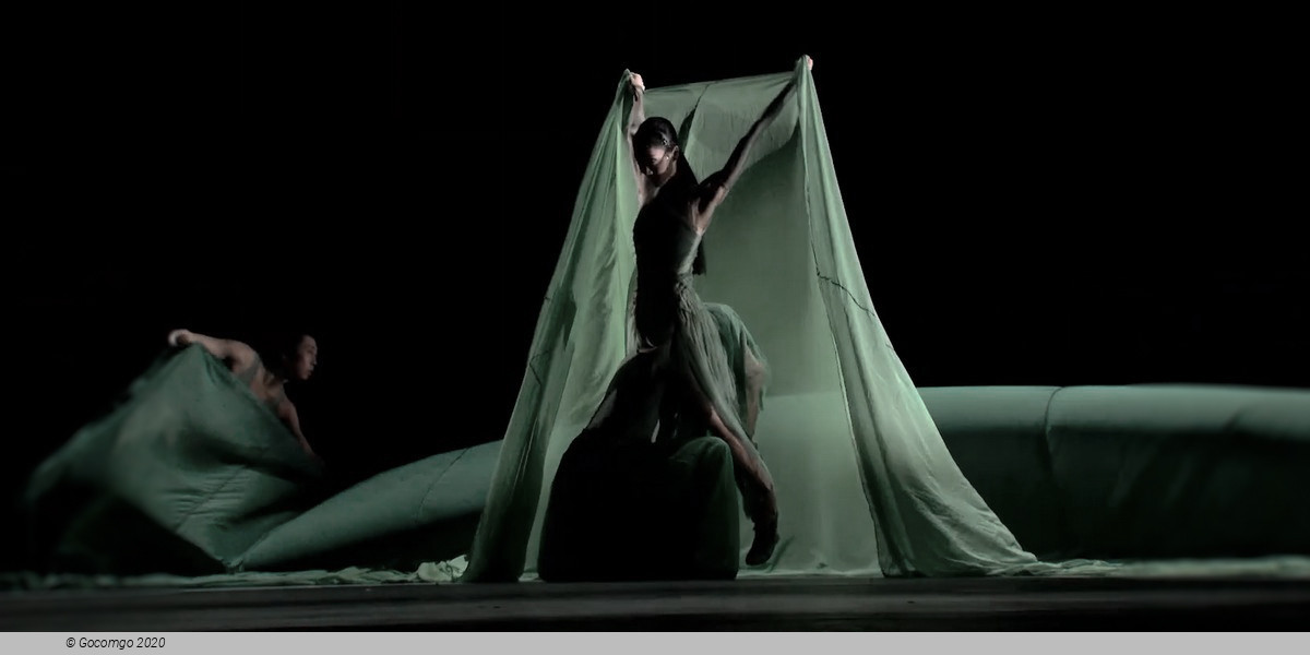Pas de Deux from Lady White Snake, photo 13