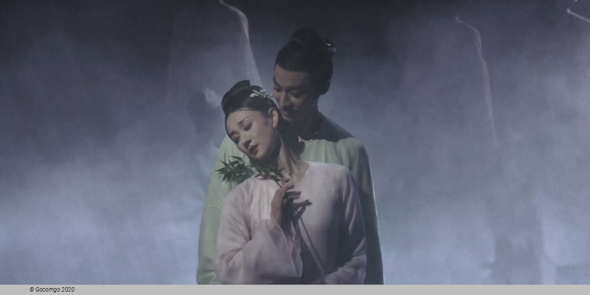 Dream in Peony Pavilion