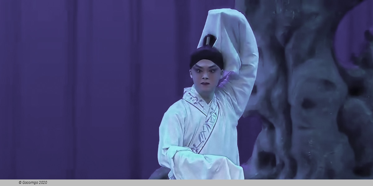 Qinqiang Opera "A Visit to West Lake – Ghostly Grievances and Killing", photo 5
