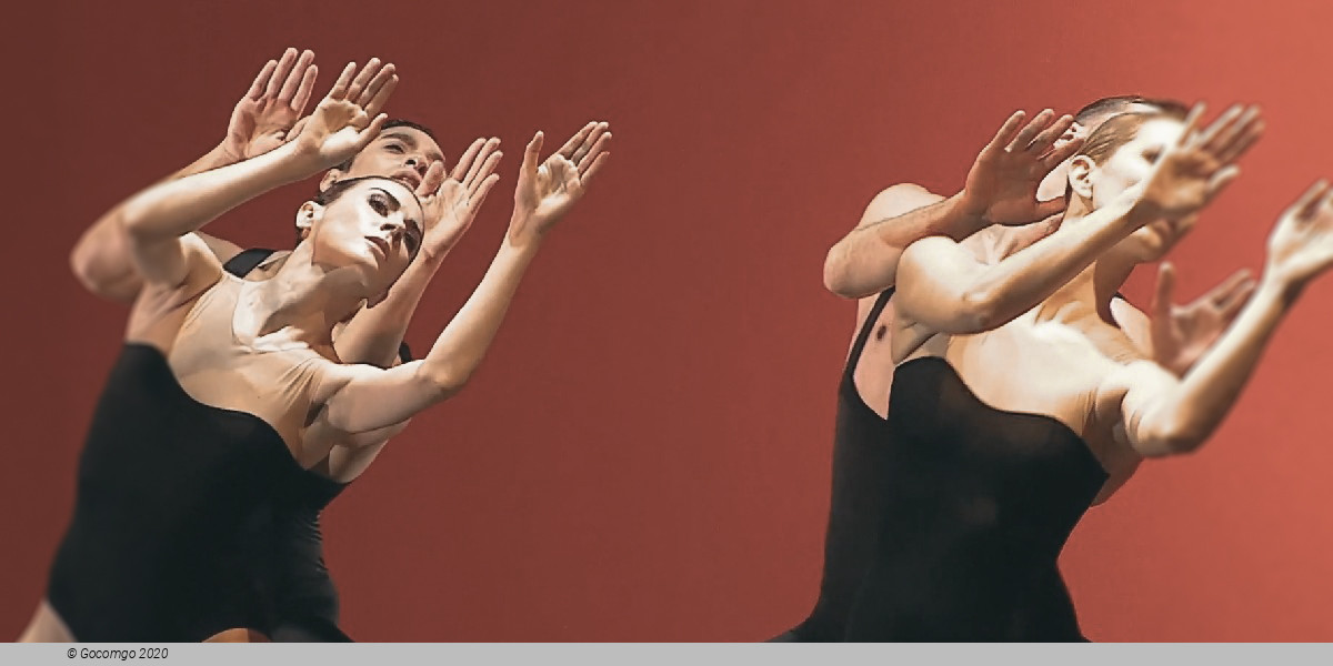 Scene 3 from the modern ballet "Bedroom Folk", photo 4