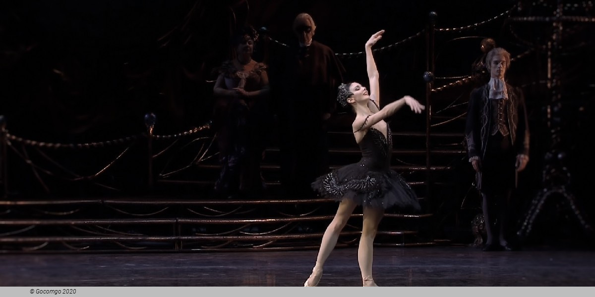 Swan Lake, photo 6