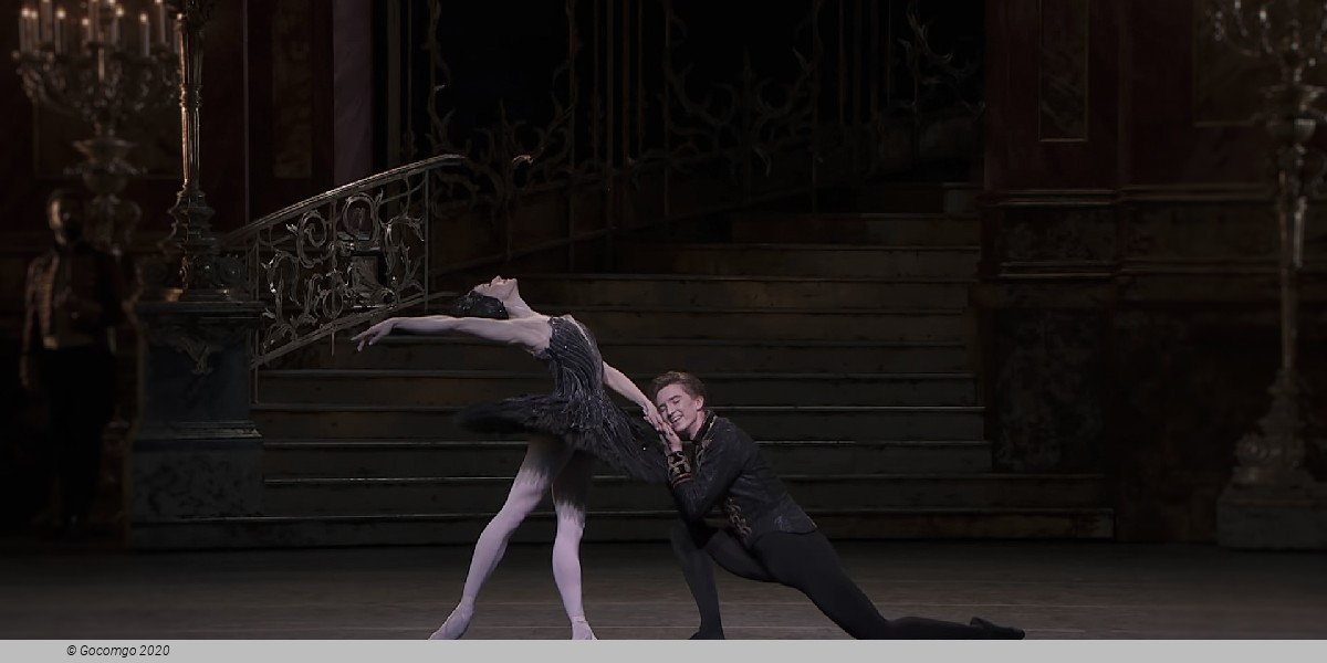 Swan Lake, photo 8