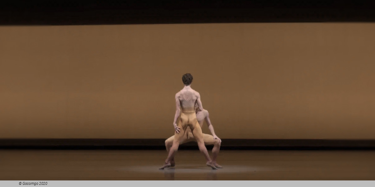 Golden Hour by Christopher Wheeldon, photo 3