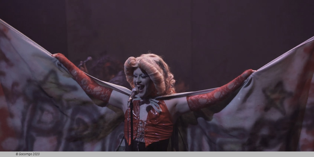 Hedwig and the Angry Inch, photo 2