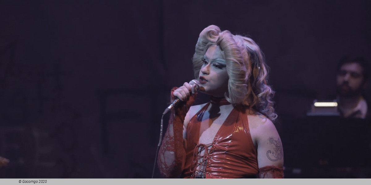 Hedwig and the Angry Inch, photo 5